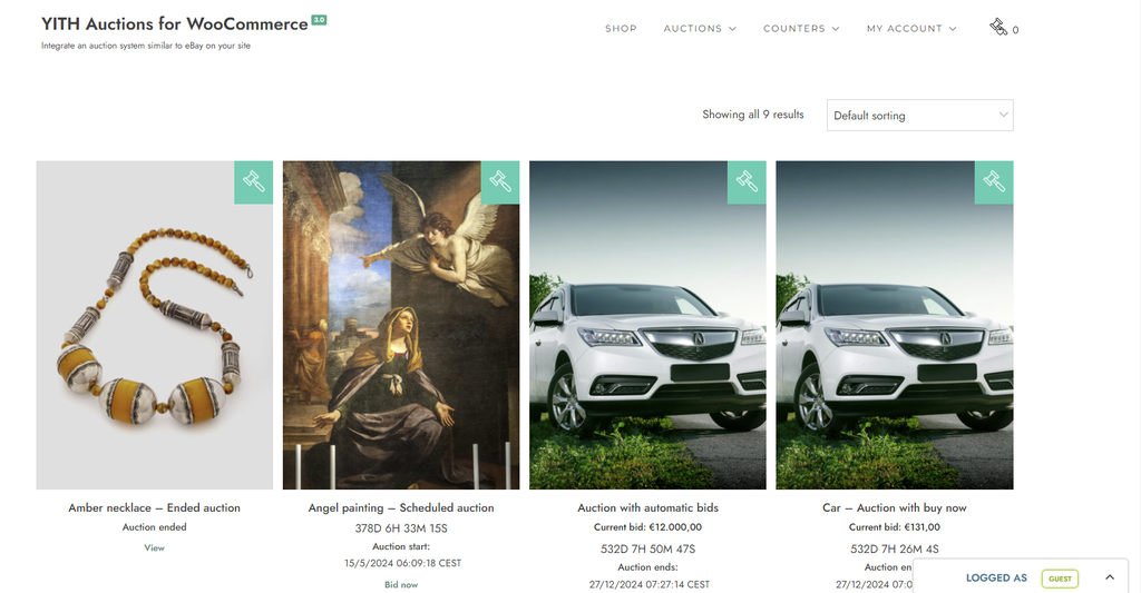 The demo page of YITH WooCommerce Auctions