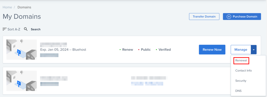 Manage renewal option for a Bluehost domain name