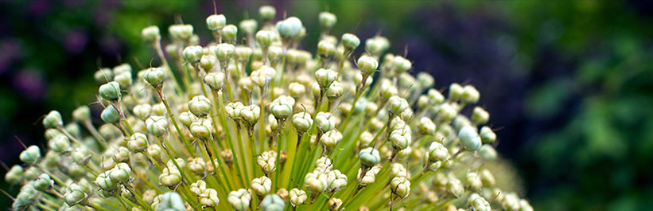 Redirection plugin banner