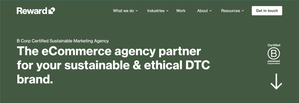 Homepage of Ireland-based digital marketing agency, Reward