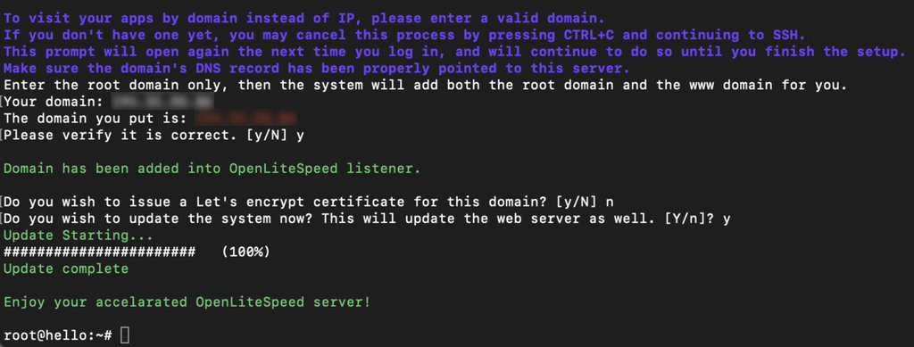 Browser terminal outputs installation prompts and a confirmation message about the successful OpenLiteSpeed installation.