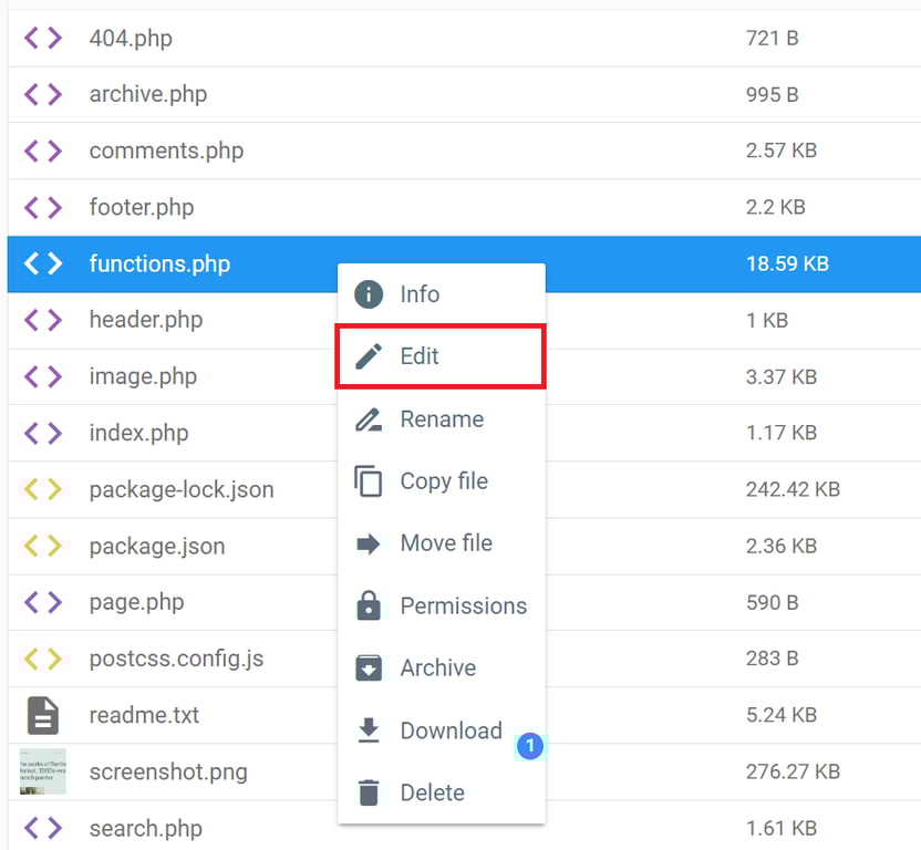 Selecting the functions.php file then opening the Edit option