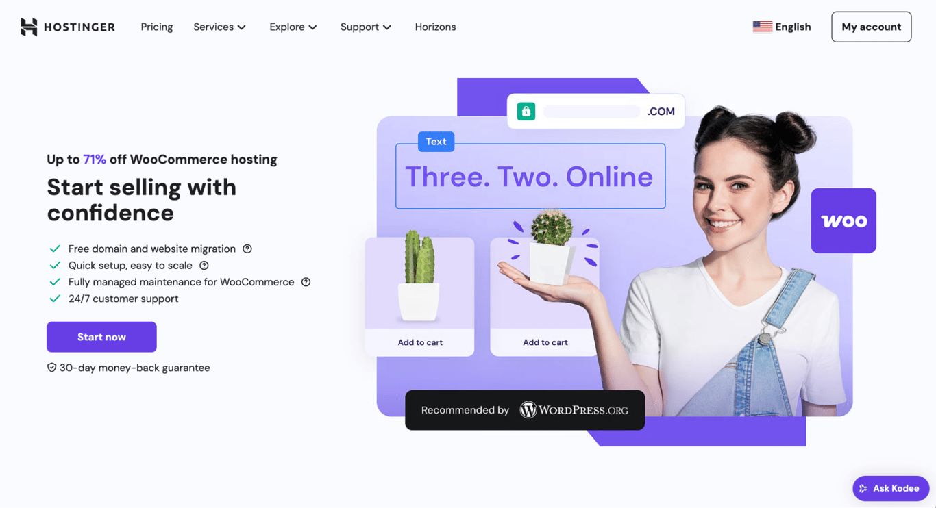 Hostinger landing page
