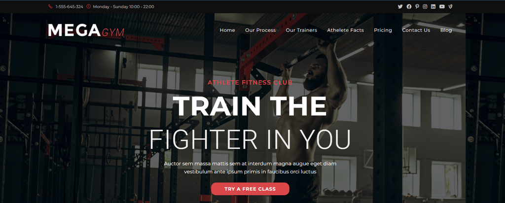 One of the site demos offered by OceanWP