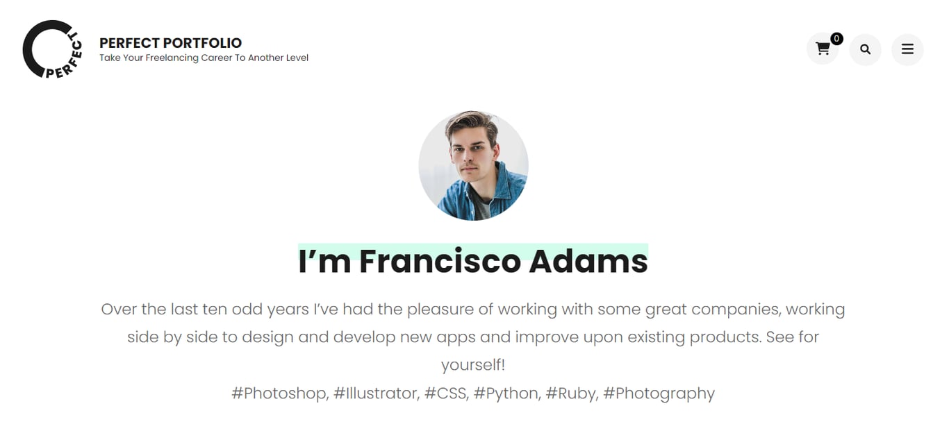 Perfect Portfolio's demo preview