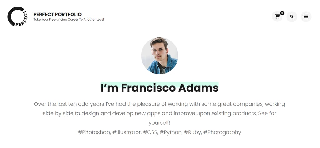 Perfect Portfolio's demo preview