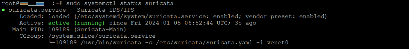 Terminal shows Suricata service status