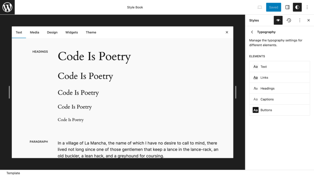 The style book panel, shoring the typography options