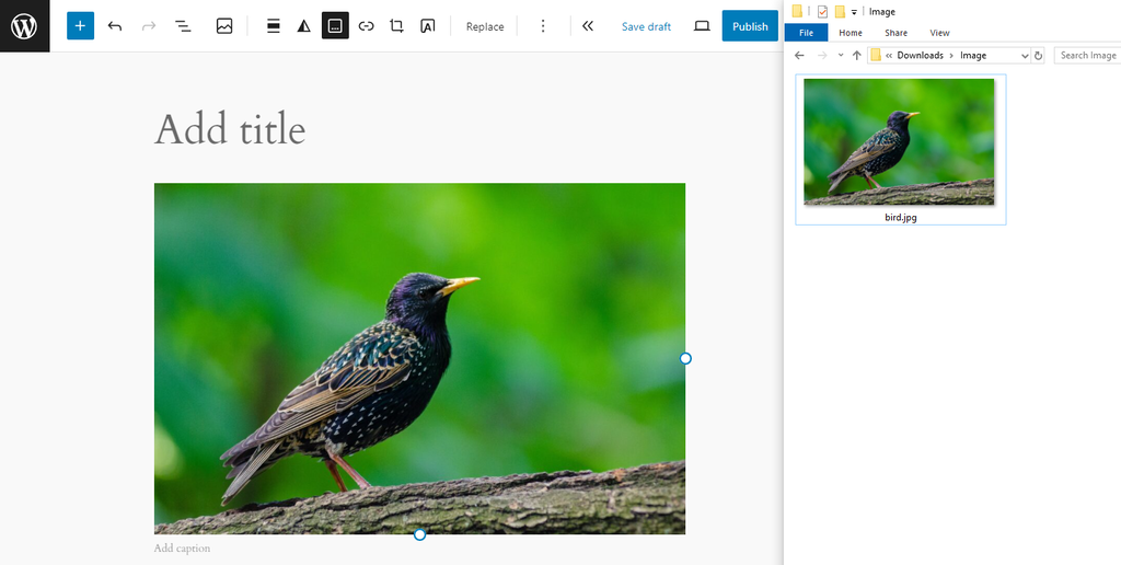 The final result of the drag and drop image feature