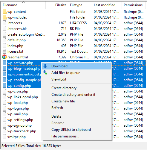 Downloading files from the server with FileZilla