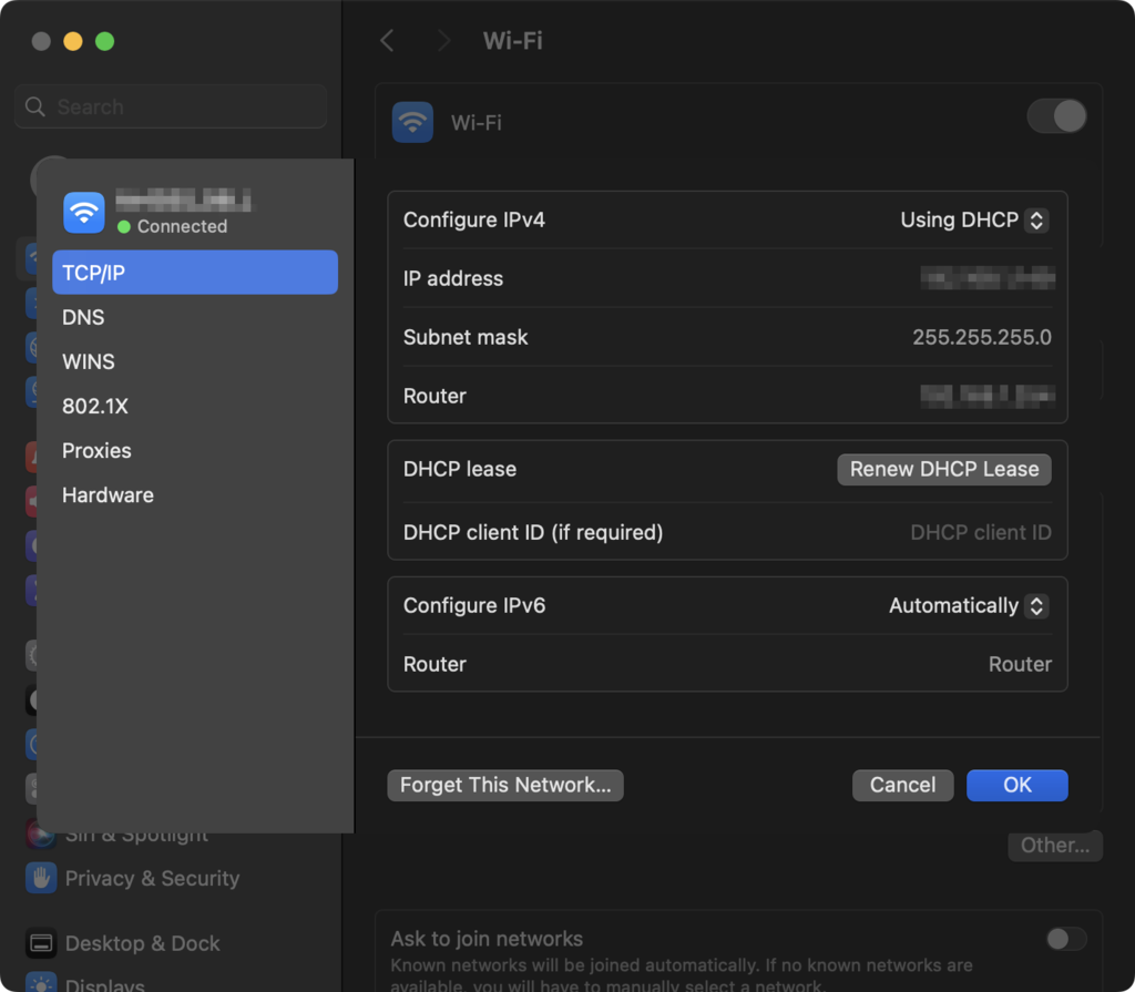 Network TCP/IP details shown in System Settings on macOS