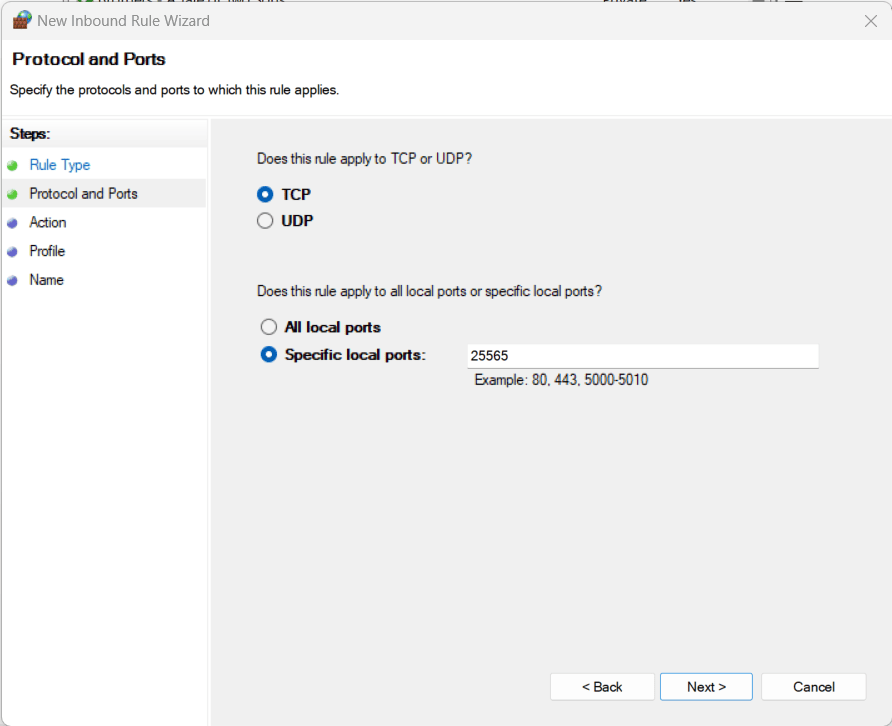 A firewall rule applied to TCP, and the default Minecraft server port