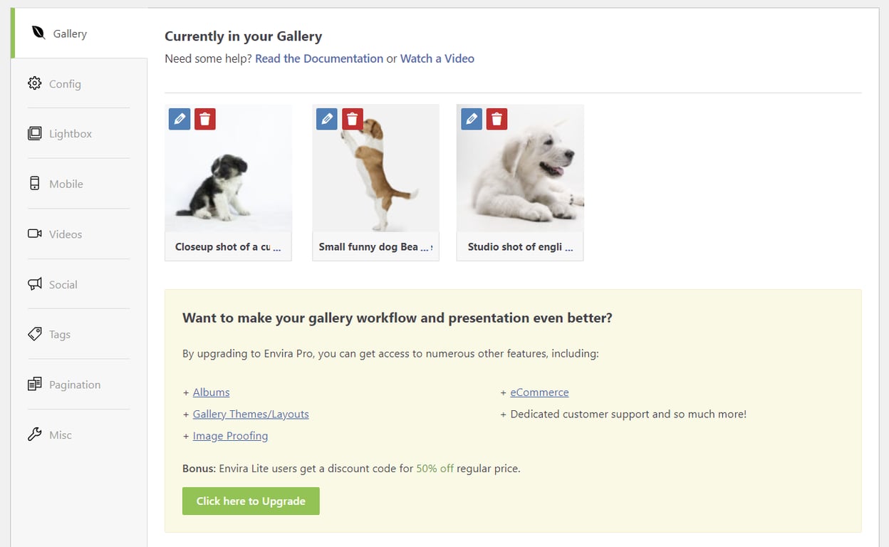 Envira Gallery editor