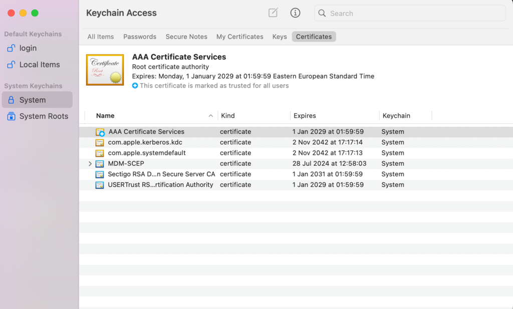 System section within Keychain Access on macOS