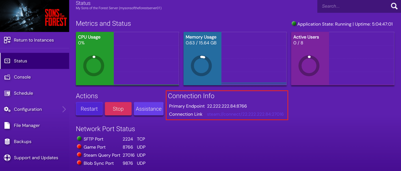 The Connection Info section on Game Panel's Sons of the Forest instance