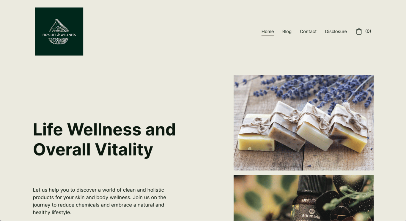 Fig Life Wellness landing page