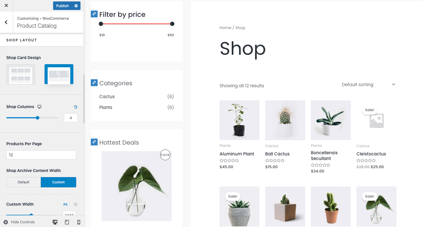 Modifying Astra's product catalog using WordPress Customizer