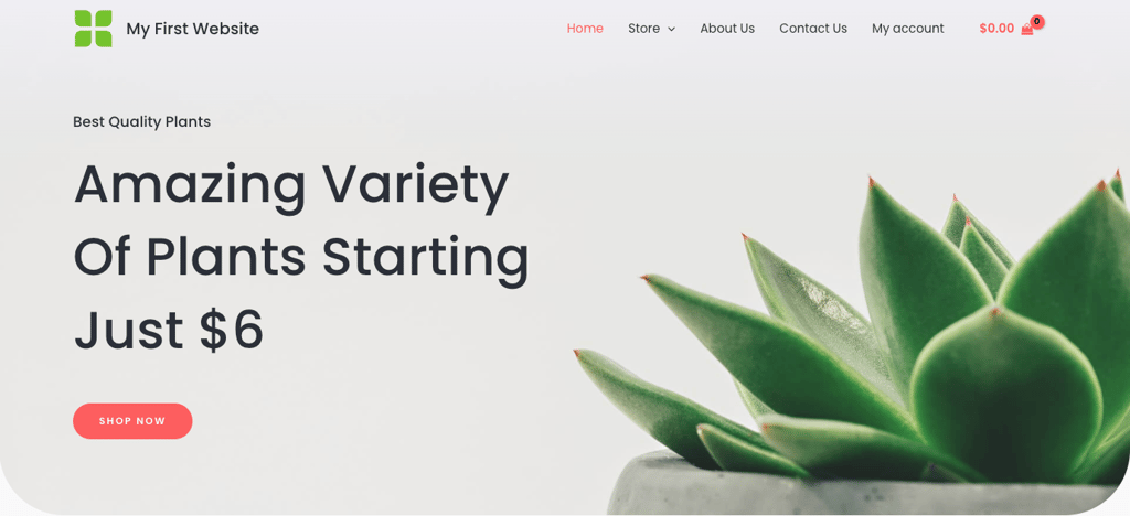 Astra demo page
