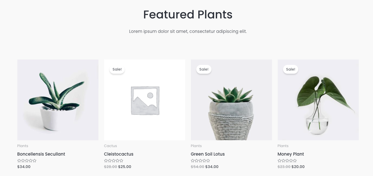 An example of a product display section in Astra