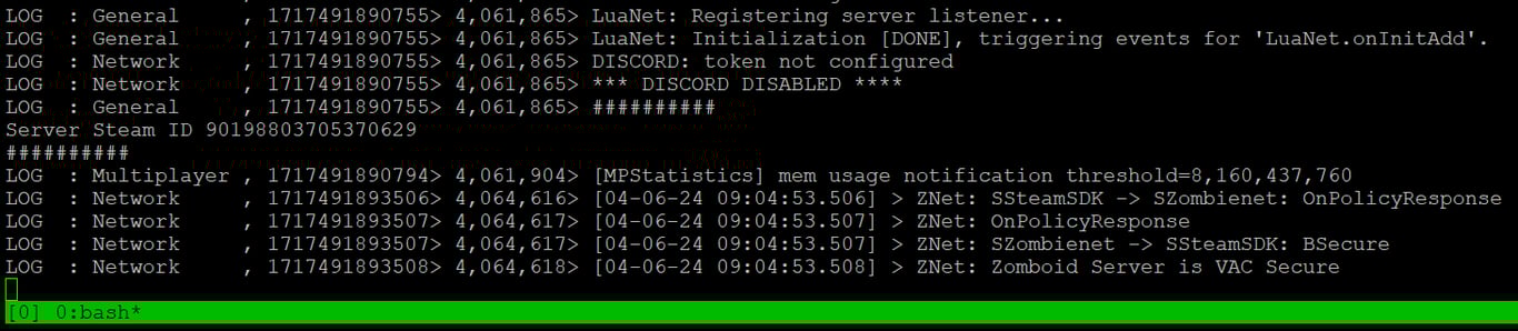 Project Zomboid server successfully starts on a VPS