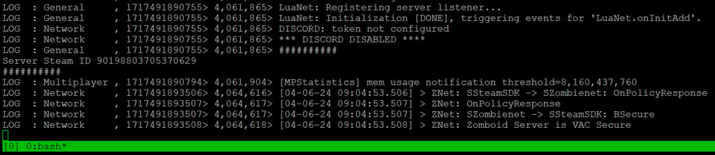 Project Zomboid server successfully starts on a VPS