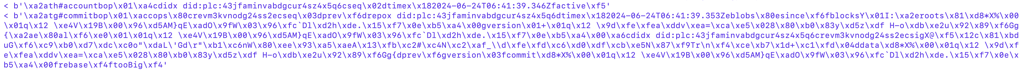 The Websockets output on Terminal