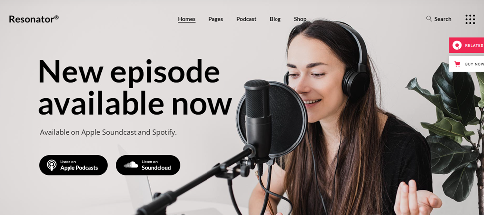 An example site with the Resonator theme