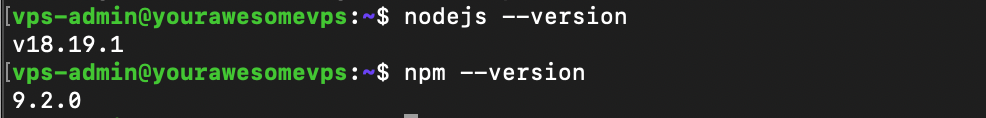 Terminal outputs installed nodejs and NPM version