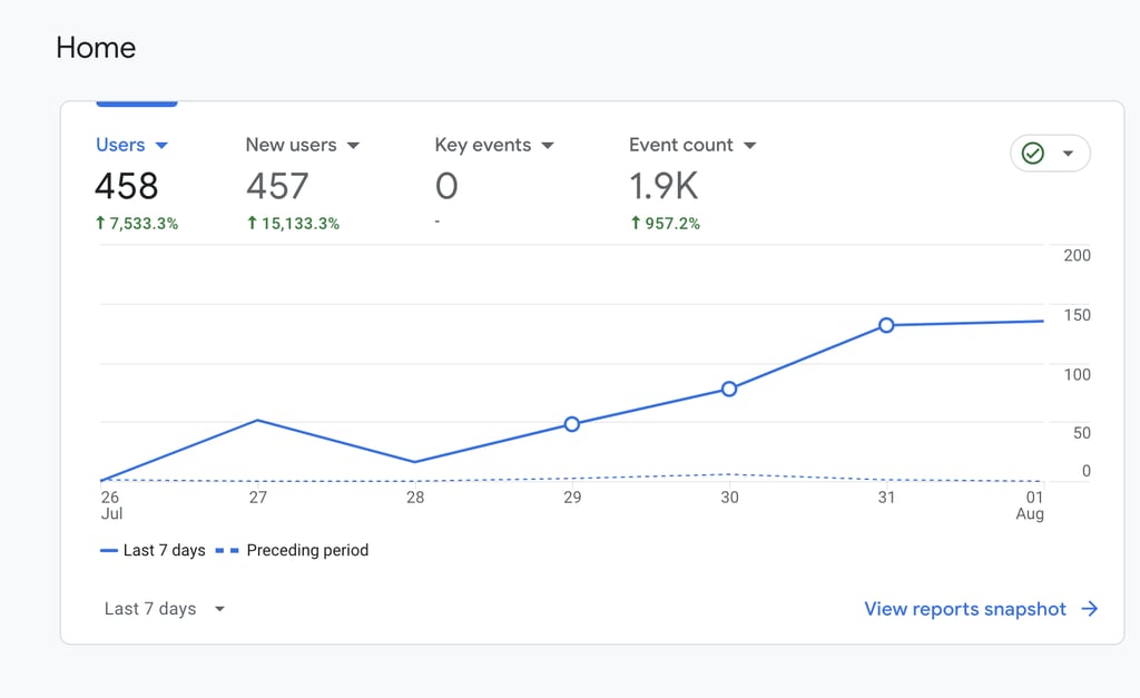 Overview of visitors on a website in Google Analytics