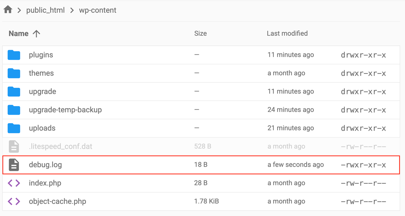 The debug.log file in the wp-content directory