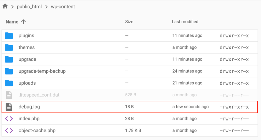 The debug.log file in the wp-content directory