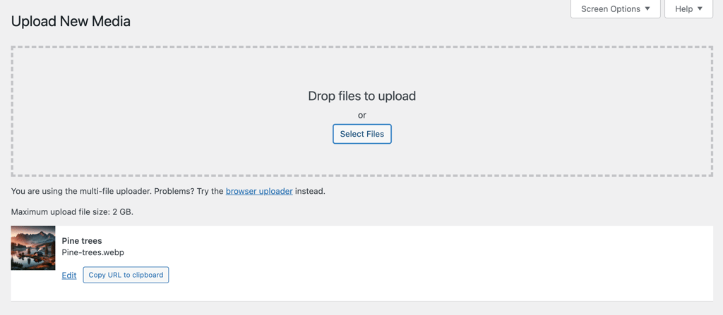 The Upload New Media page in WordPress