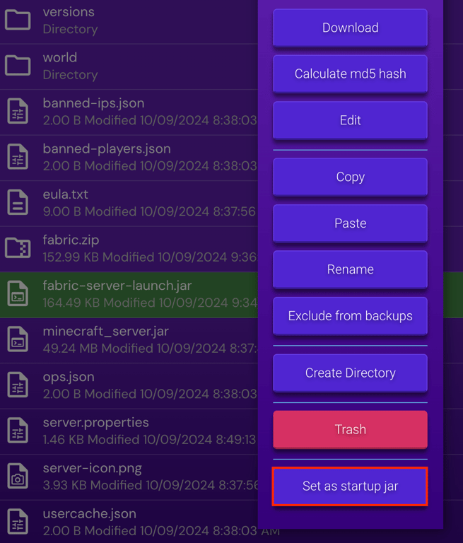 The Set as startup jar button in the File Manager menu of Game Panel
