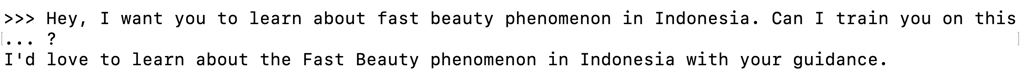 Terminal exibindo a resposta de um modelo do Ollama a um prompt de treinamento