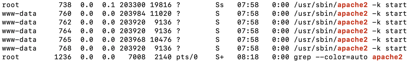 The ps aux | grep apache2 command's output in the terminal