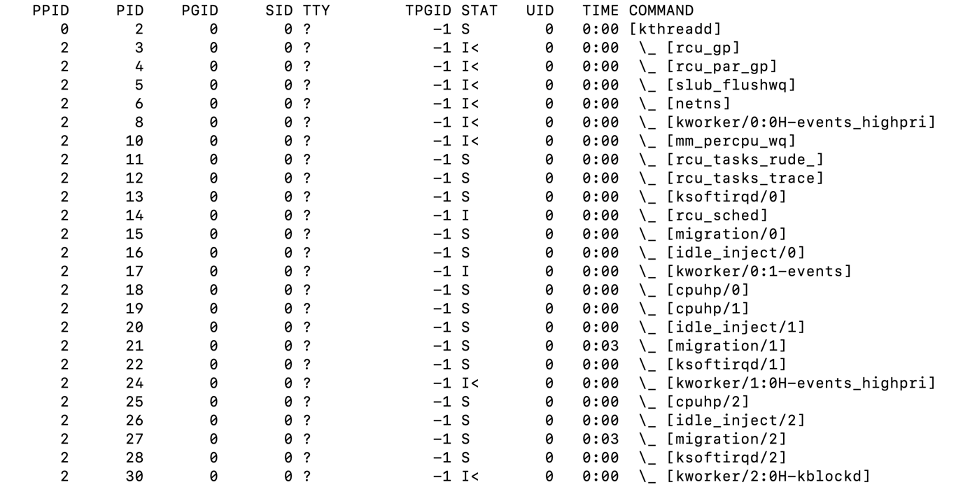 The ps -axjf command's output in the terminal