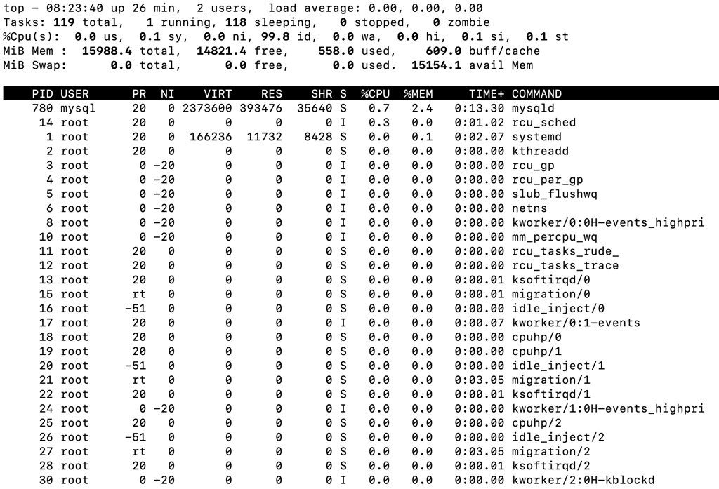 The top command's output in the terminal