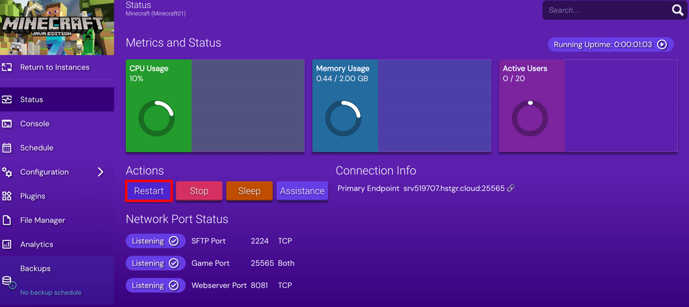 Restarting minecraft instance on hostinger game panel