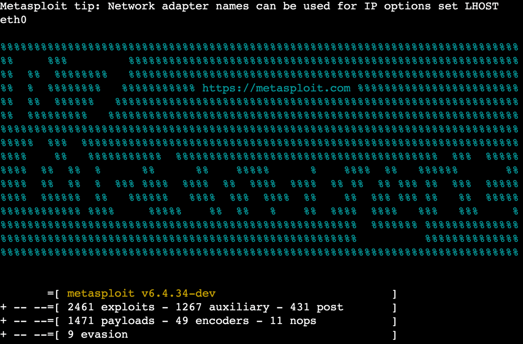 The Metasploit console in the terminal