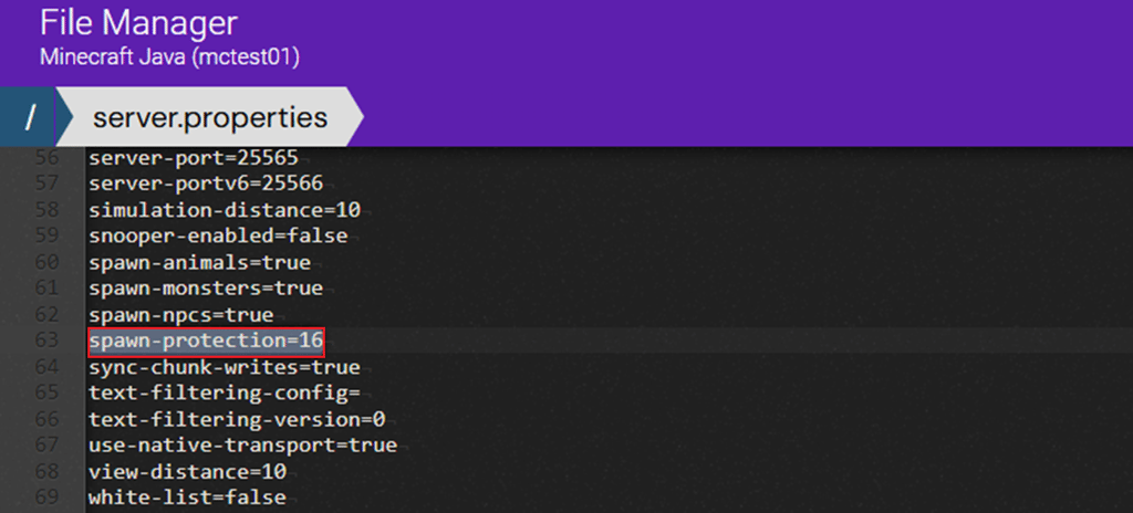 Example of server.properties file opened in File Manager
