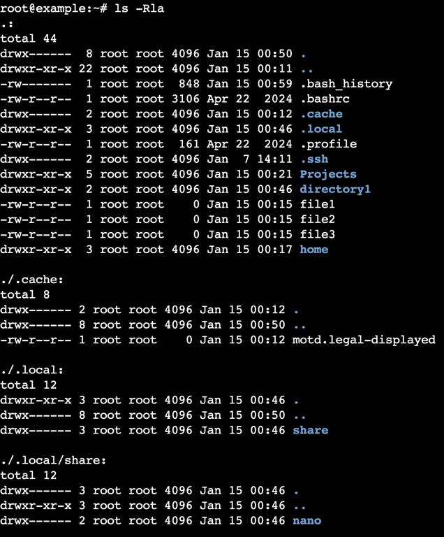 The ls -Rla command's output in the terminal