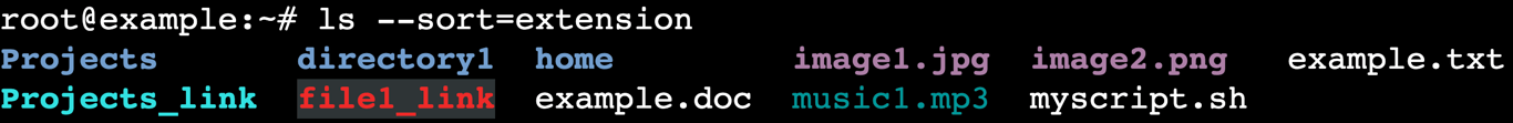The ls --sort=extension command's output in the terminal