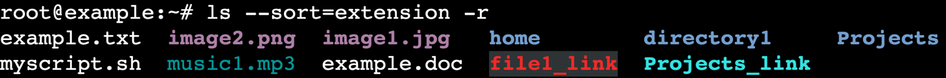 The ls --sort=extension -r command's output in the terminal