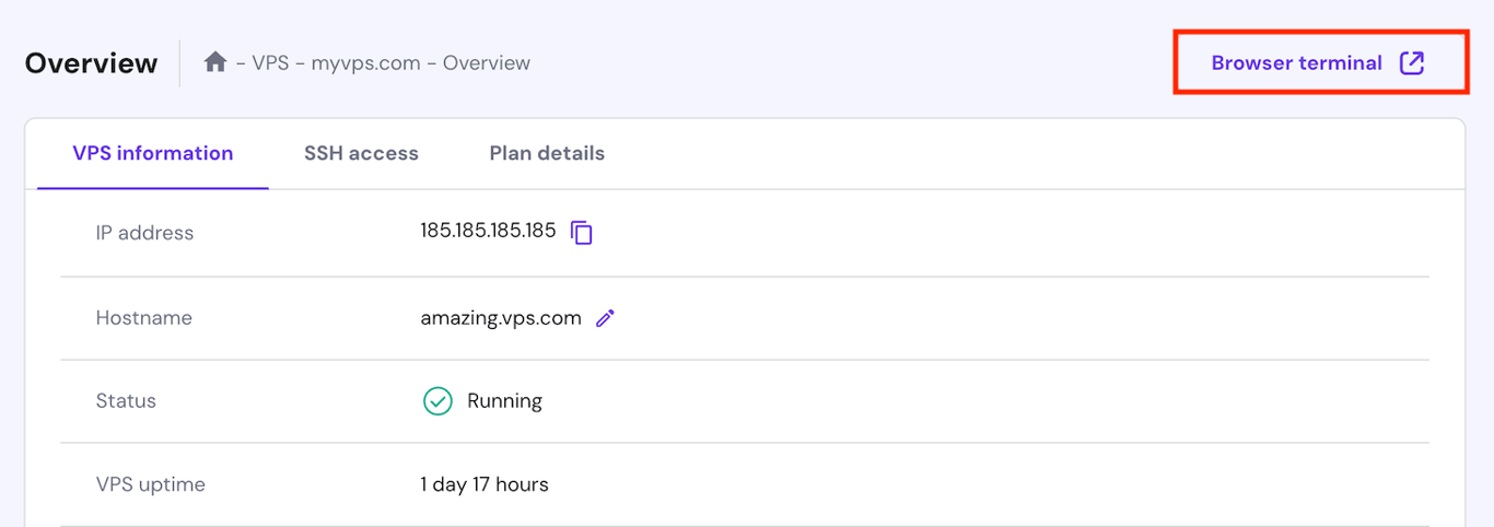 Browser terminal button on the VPS management page