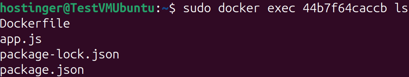 Terminal window showing docker exec command to list files with ls /