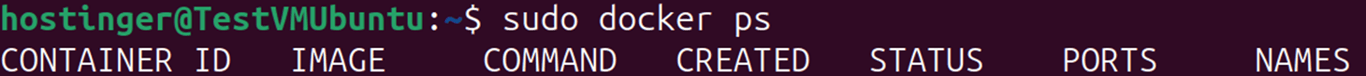 Terminal output showing docker ps command listing containers