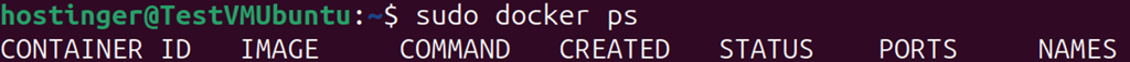 Terminal output showing docker ps command listing containers