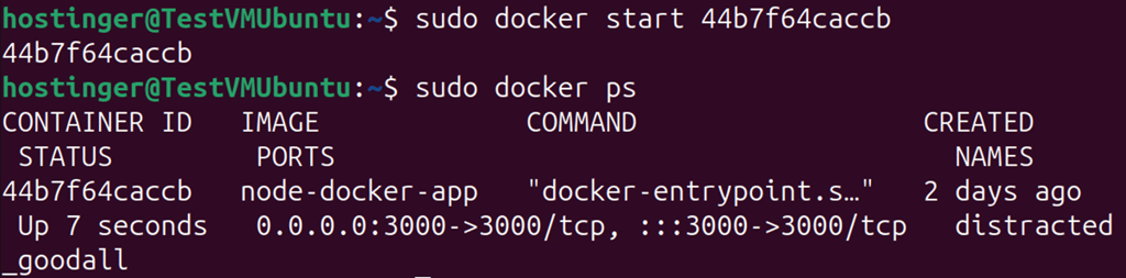 Terminal output showing a container started with docker start