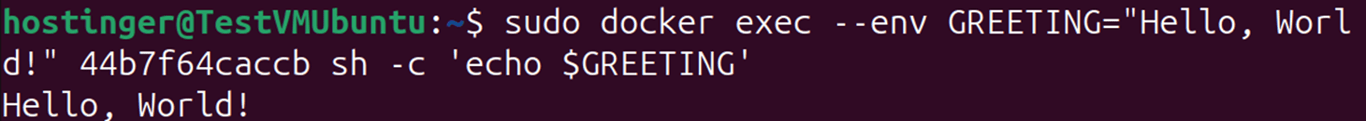 Terminal output of docker exec --env command showing "Hello, World!"