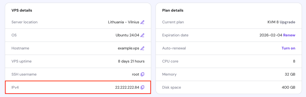 The IPv4 information in the VPS Overview page of hPanel